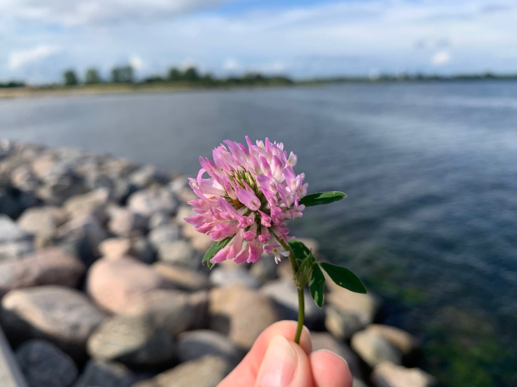 Reconnect and Stay Present with Mindfulness of the&nbsp;Body